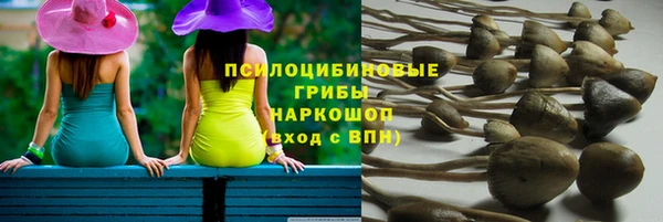 марихуана Нефтекумск