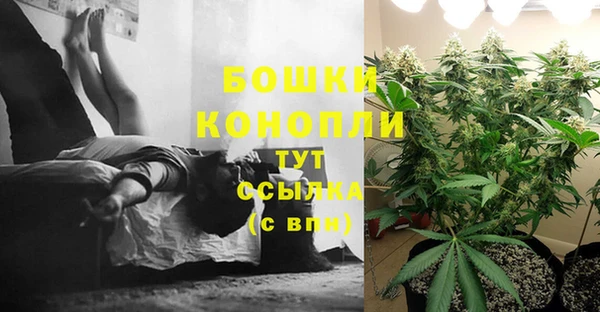 не бодяженный Нея
